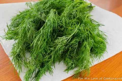 فروش ویژه شوید خشک بلغور + ارسال سراسری